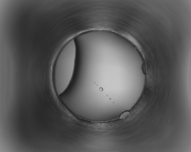 X0000089881096200706281045