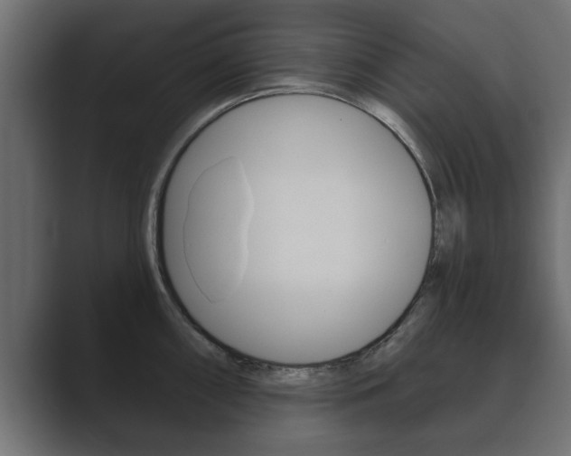 X0000089881098200706281045