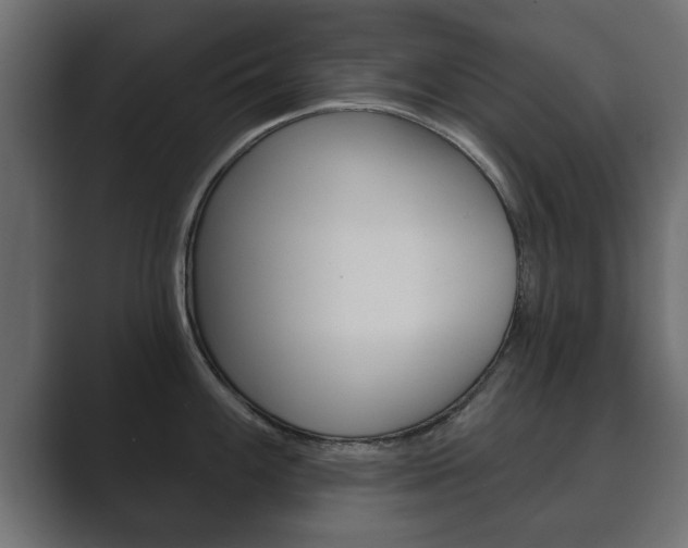 X0000089881100200706281045