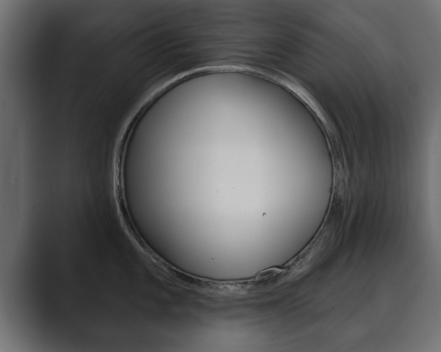 X0000089881101200706281045
