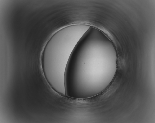 X0000089881102200706281045