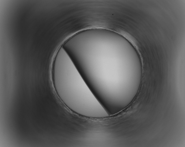 X0000089881104200706281045