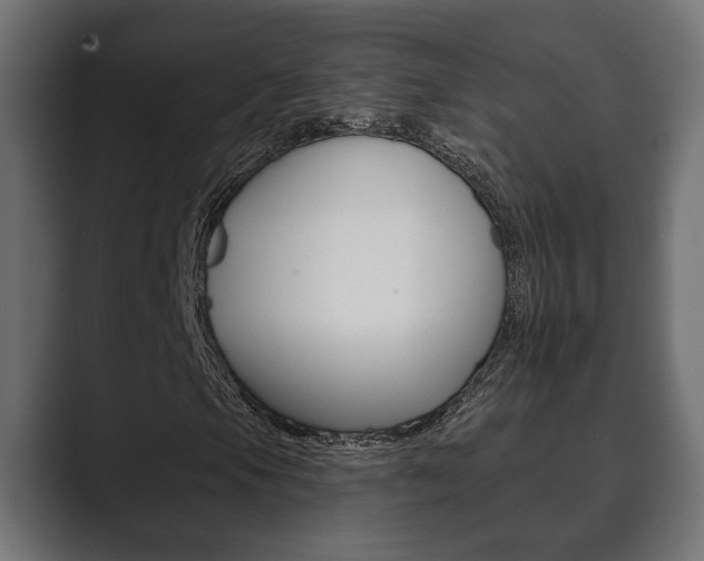 X0000089881105200706281044