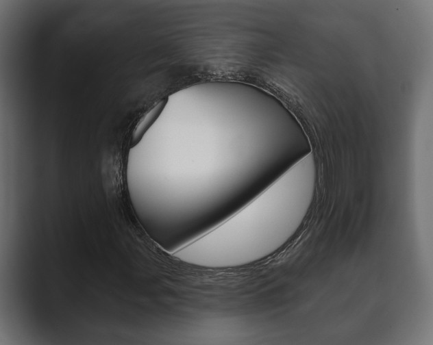 X0000089881107200706281044