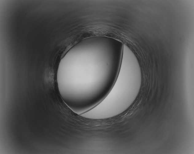 X0000089881108200706281044