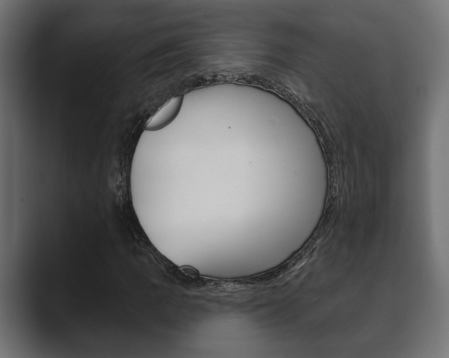 X0000089881109200706281044