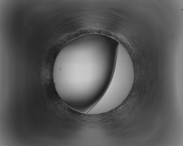 X0000089881110200706281044