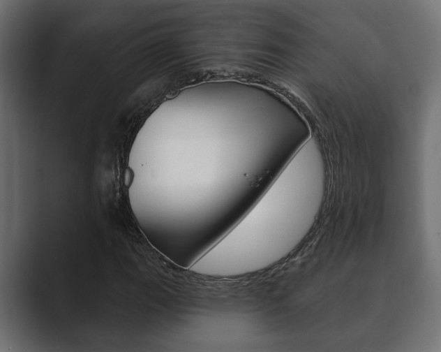 X0000089881111200706281044