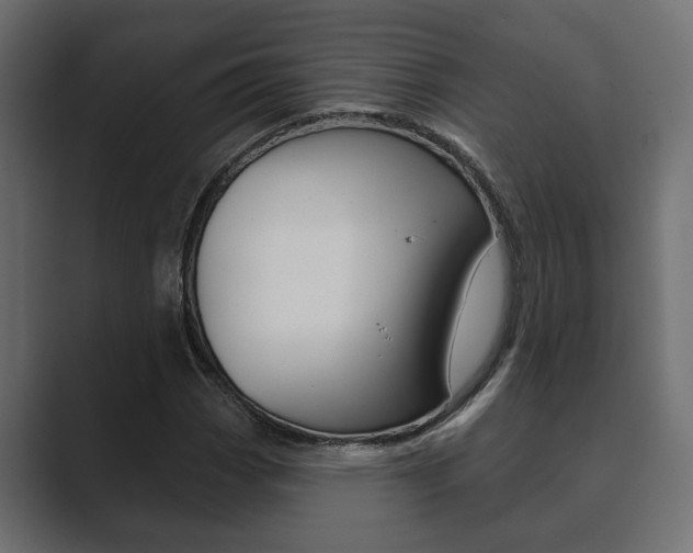 X0000089881113200706281044
