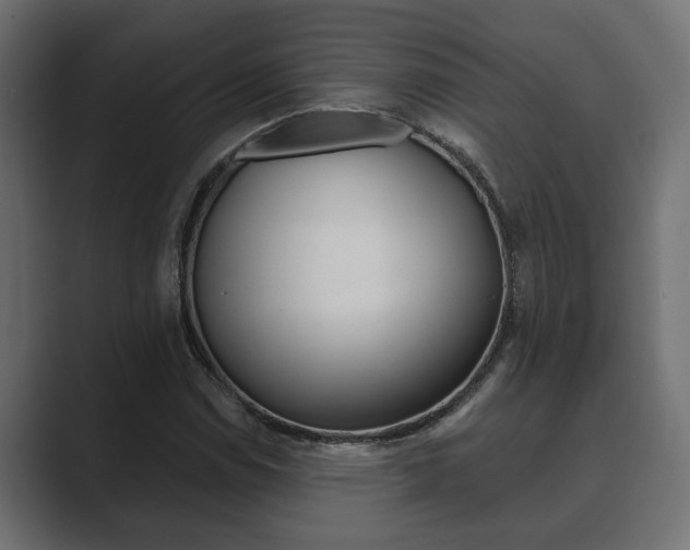 X0000089881114200706281044