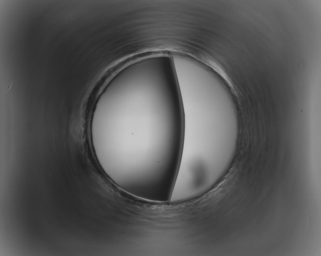 X0000089881116200706281045