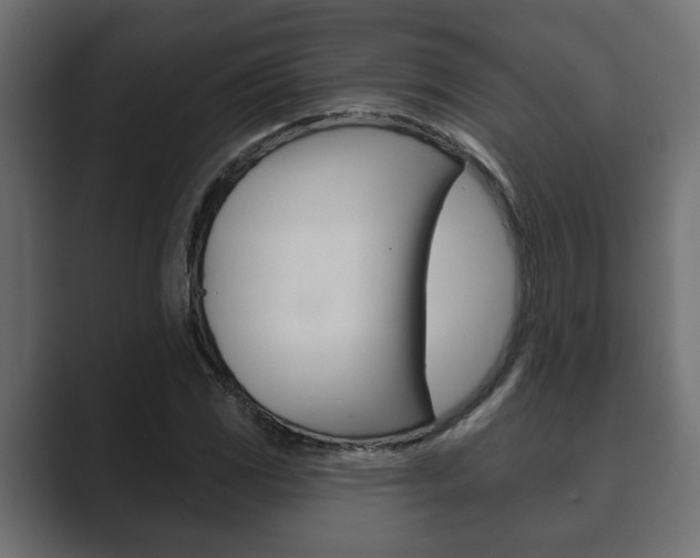 X0000089881117200706281045