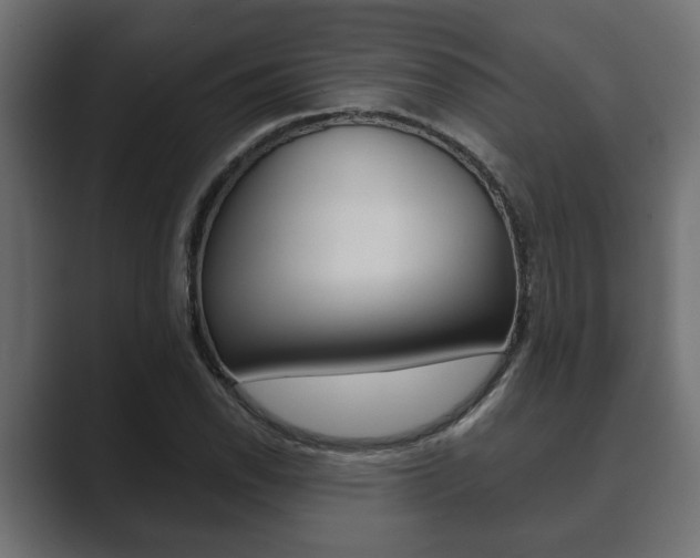 X0000089881118200706281045
