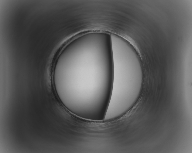 X0000089881120200706281045