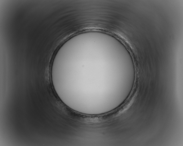 X0000089881121200706281045
