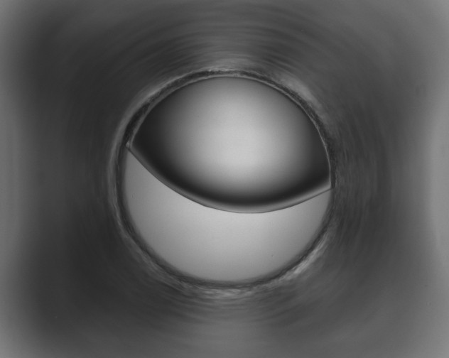 X0000089881122200706281045