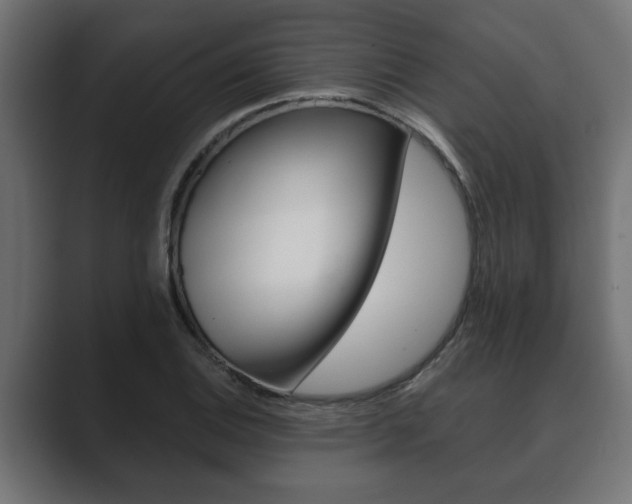 X0000089881124200706281045