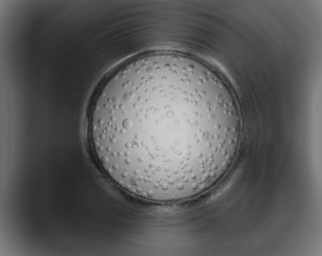 X0000089881125200706281045
