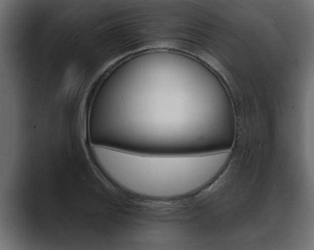 X0000089881127200706281045