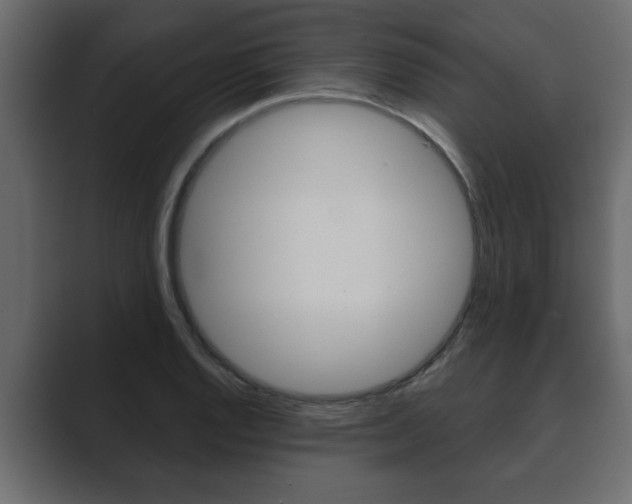 X0000089881128200706281045