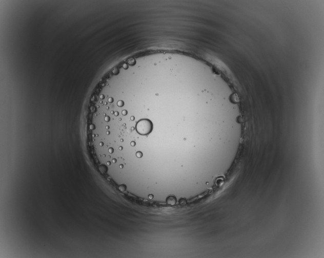 X0000089881130200706281045
