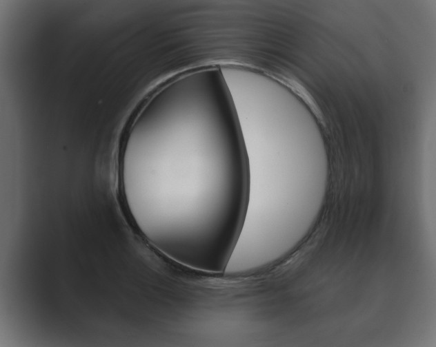 X0000089881132200706281045