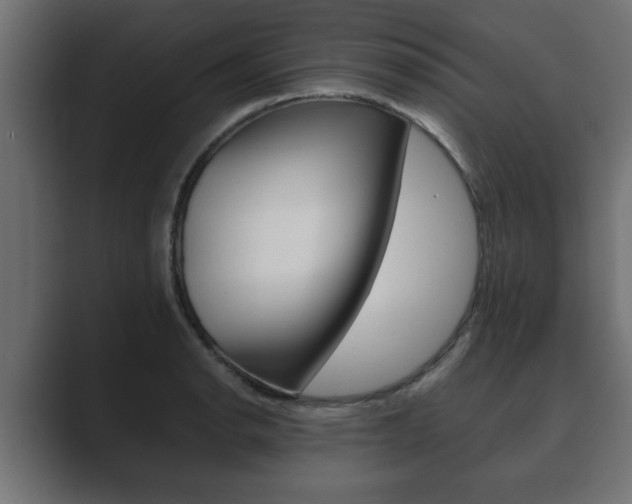 X0000089881134200706281045