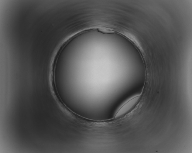 X0000089881136200706281045