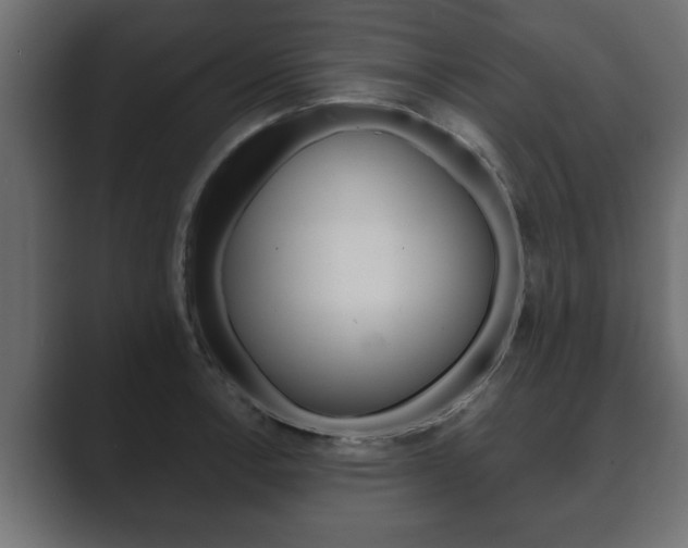 X0000089881138200706281045