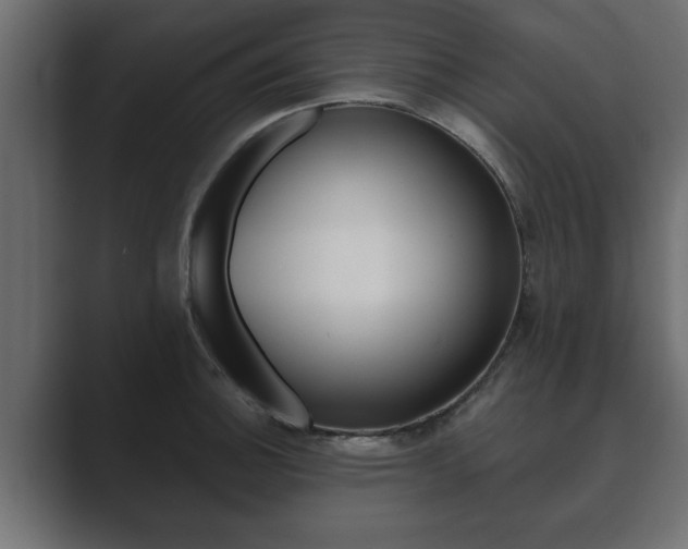 X0000089881140200706281045