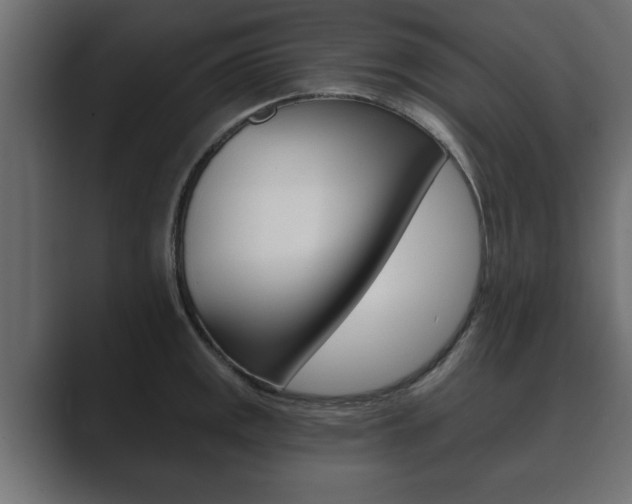 X0000089881141200706281045