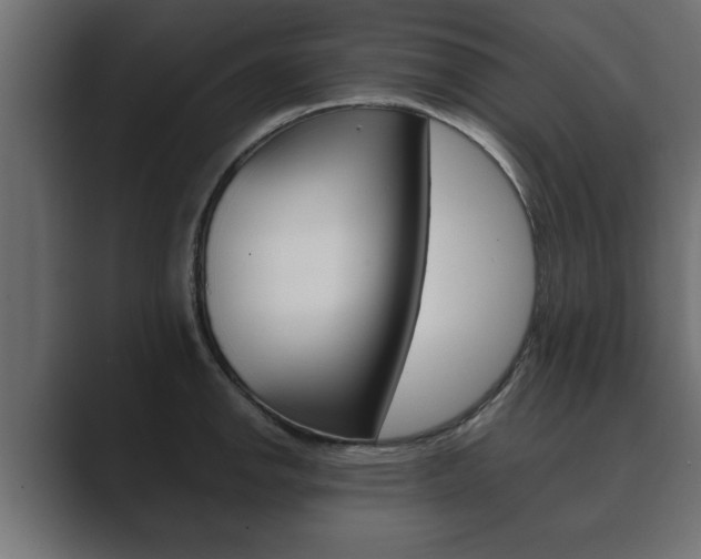 X0000089881142200706281045