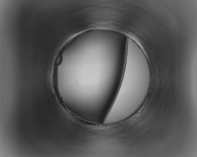 X0000089881147200706281045