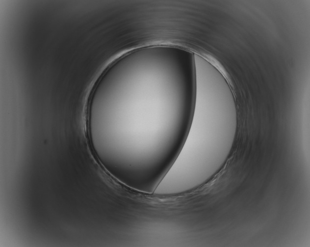 X0000089881148200706281045