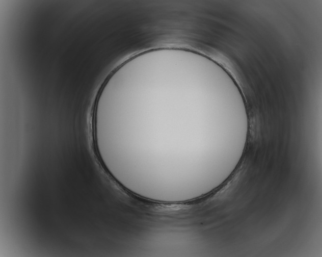 X0000089881150200706281045