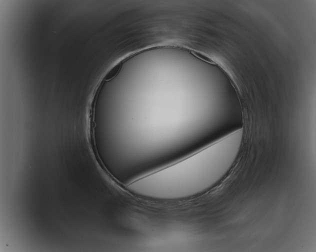 X0000089881151200706281045