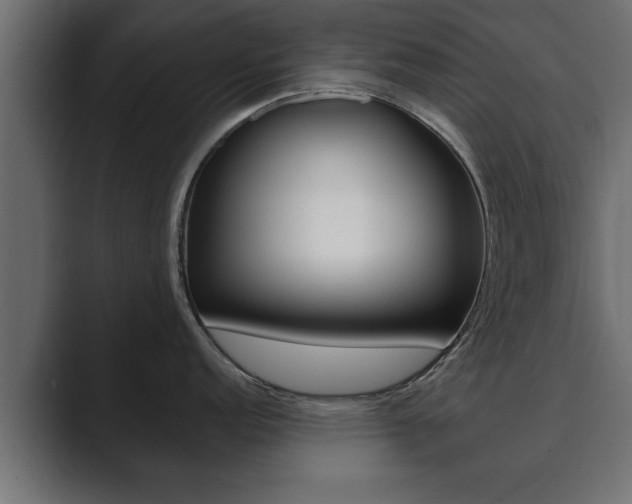 X0000089881152200706281045