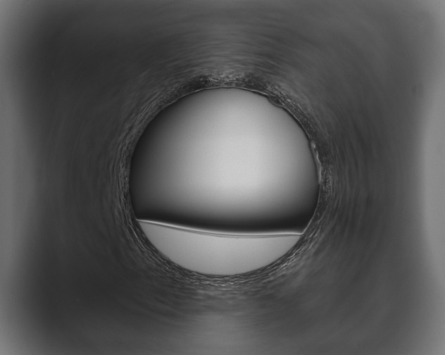 X0000089881153200706281044