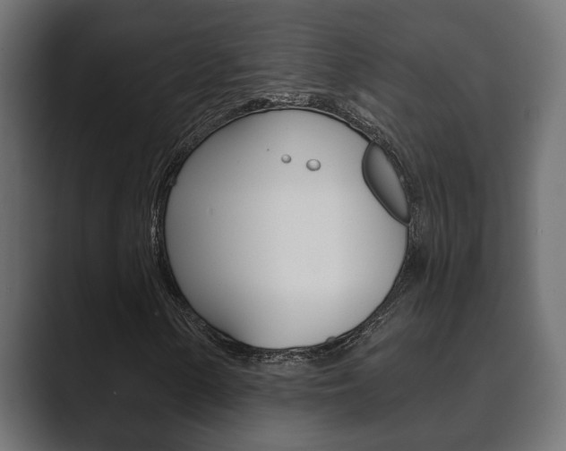 X0000089881154200706281044