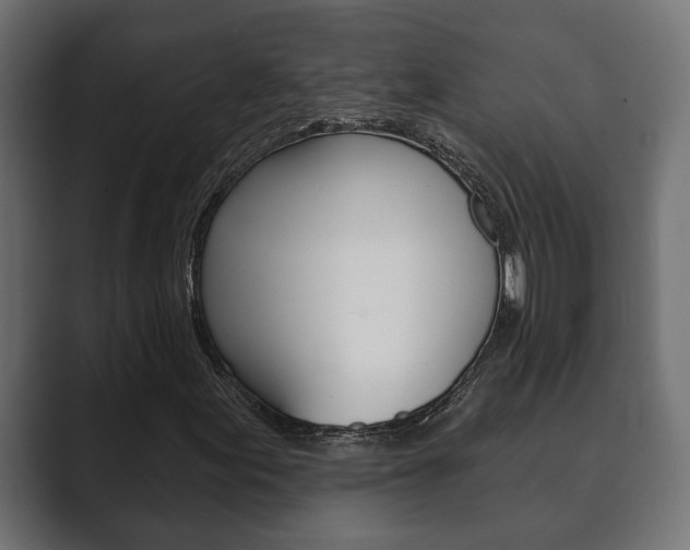 X0000089881155200706281044