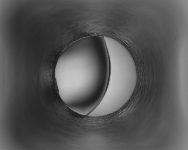 X0000089881156200706281044