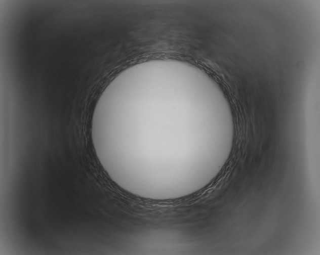 X0000089881157200706281044