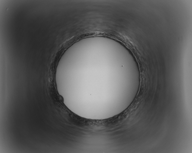 X0000089881158200706281044