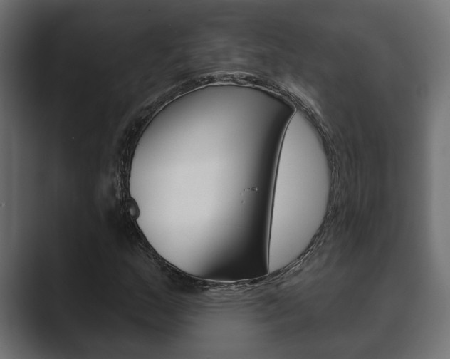 X0000089881159200706281044
