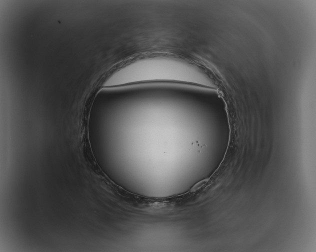 X0000089881160200706281044
