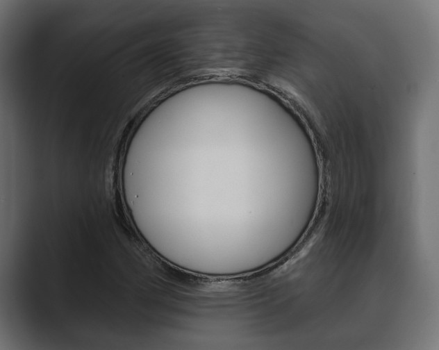 X0000089881162200706281044