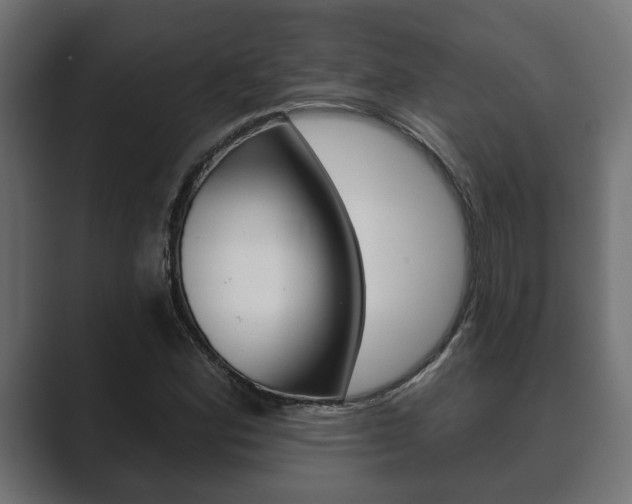 X0000089881164200706281044