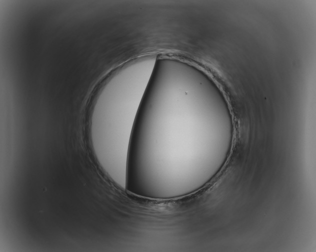 X0000089881165200706281044