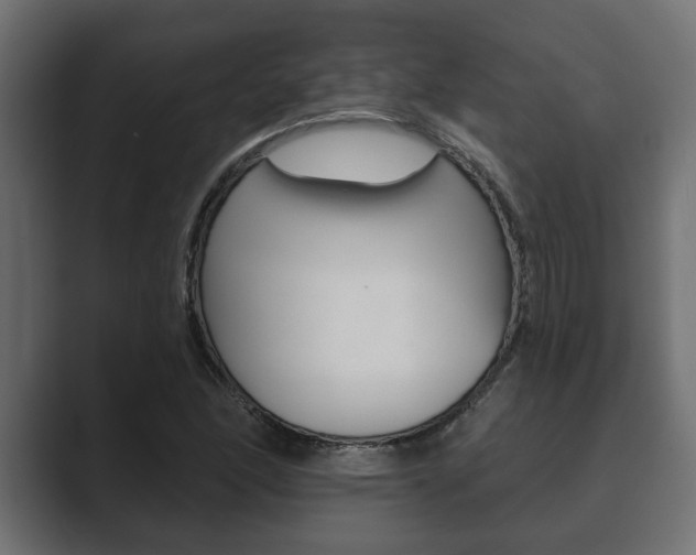 X0000089881166200706281044
