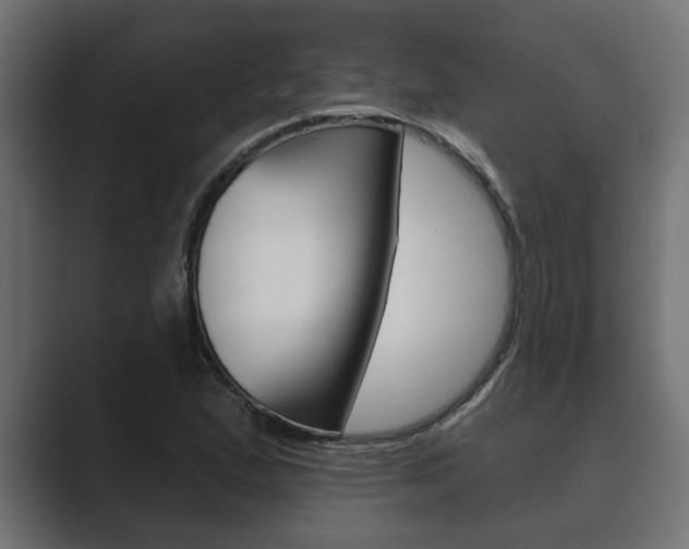 X0000089881167200706281044